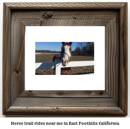 horse trail rides near me in East Foothills, California